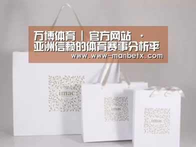 项目名称十一