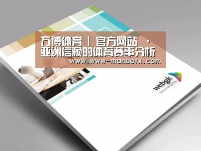 项目名称九