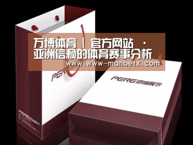 项目名称十二