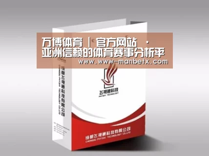 项目名称十三